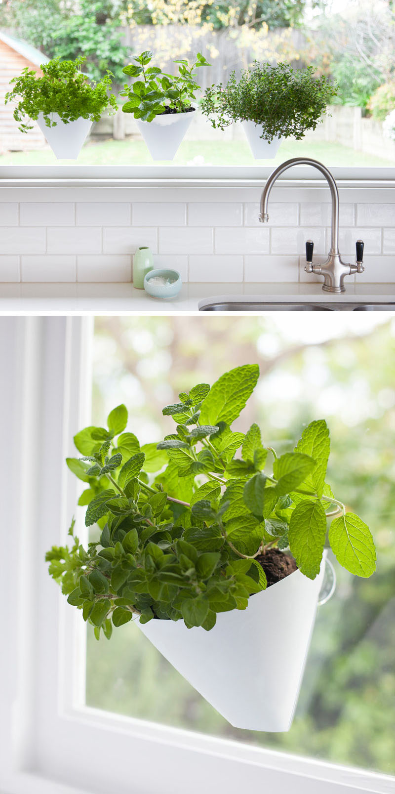 53 Indoor Garden Idea - Hang Your Plants From The Ceiling ...