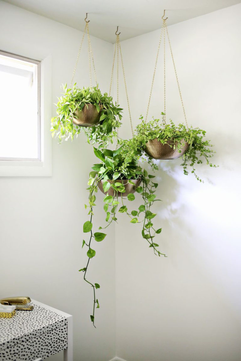 53 Indoor Garden Idea – Hang Your Plants From The Ceiling & Walls - The ...