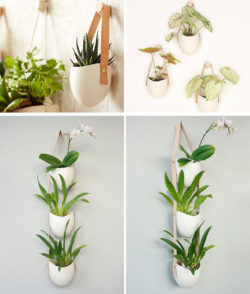 53 Indoor Garden Idea – Hang Your Plants From The Ceiling & Walls - The ...