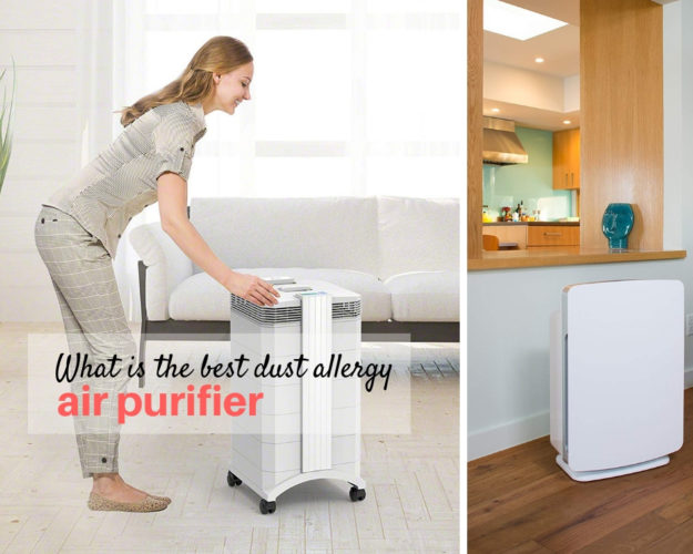 Dust allergy air purifier The Architects Diary