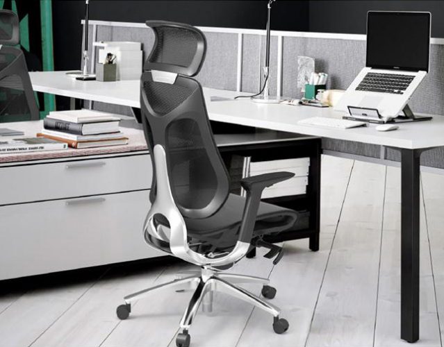 Ergonomic Office Chairs It's importance and quick guide to buy The Architects Diary