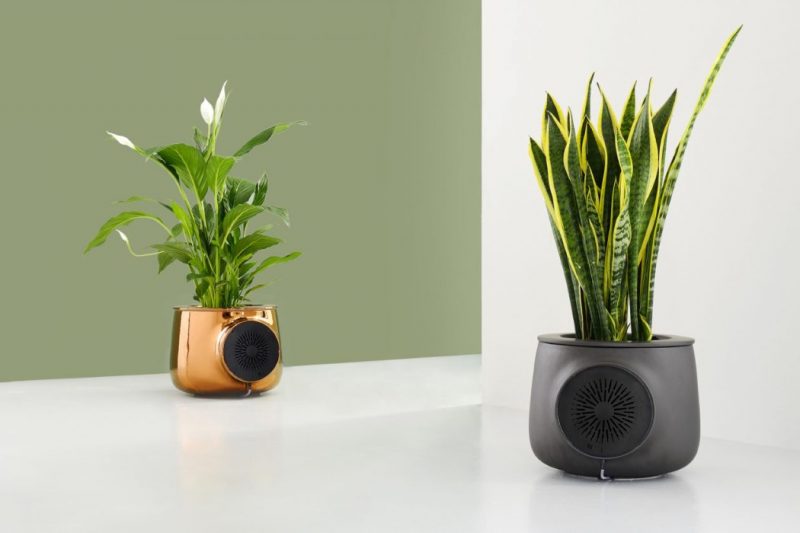 Clairy - Smart Natural Air Purifier - The Architects Diary