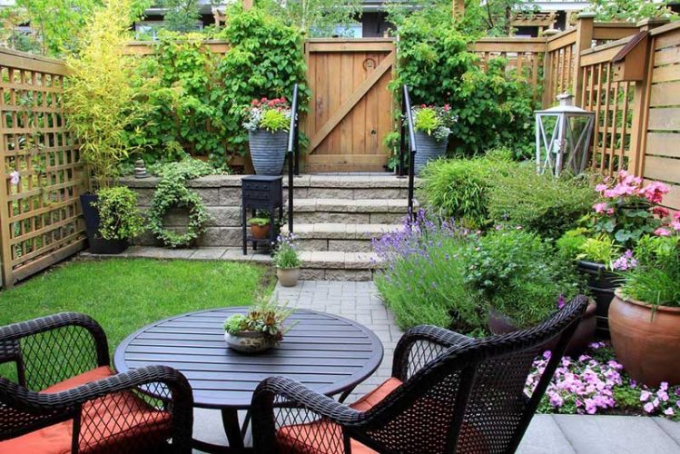 5 Ideas to make garden look better on budget The Architects Diary
