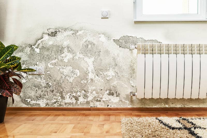 How to Find and Repair Water Leaking in the Wall