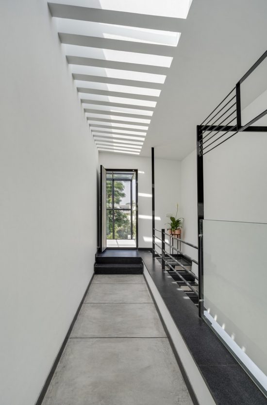 The Elemental - A Meticulous Composition Of Horizontal And Vertical ...