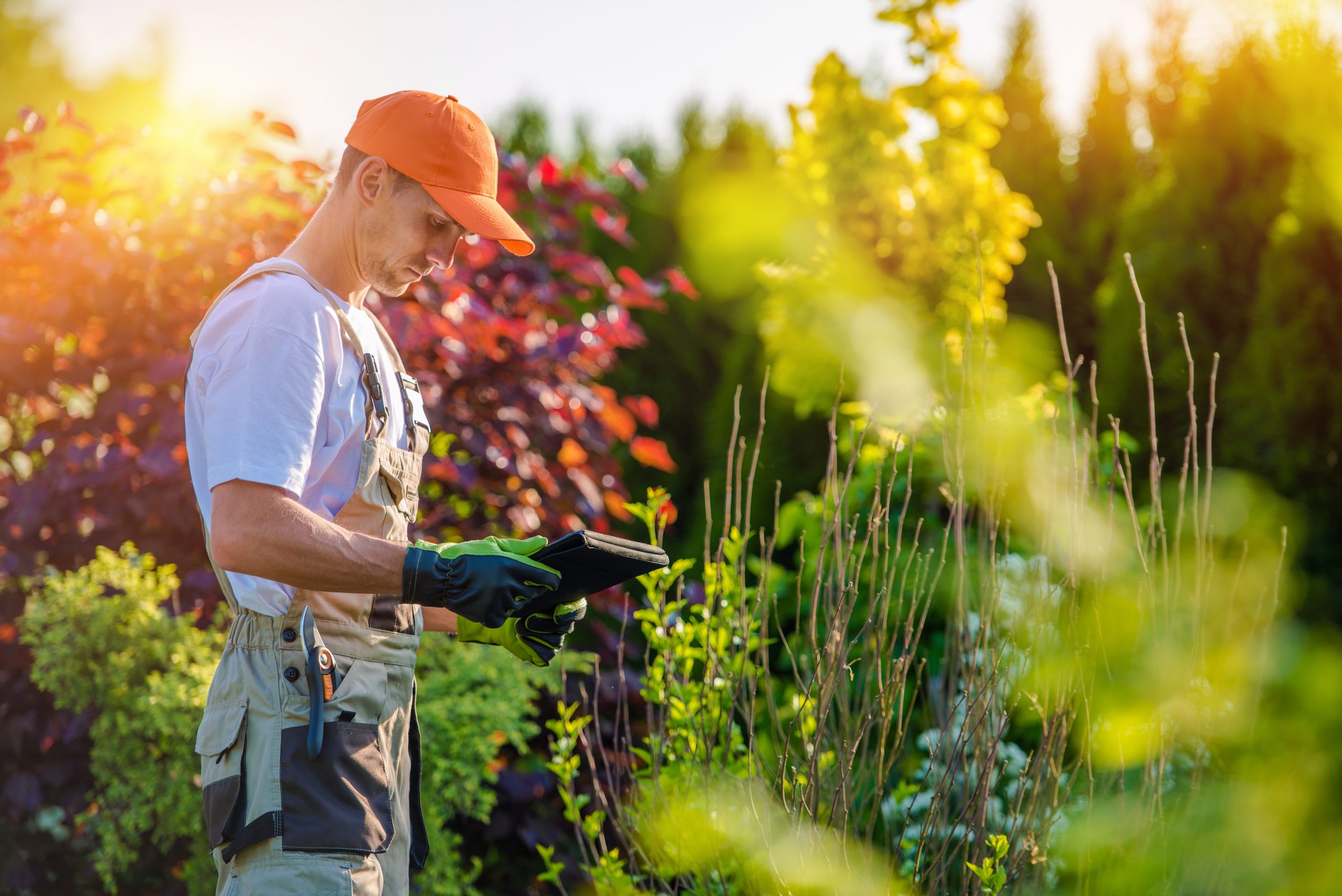 How To Find The Best Landscape Designer In Melbourne The Architects Diary