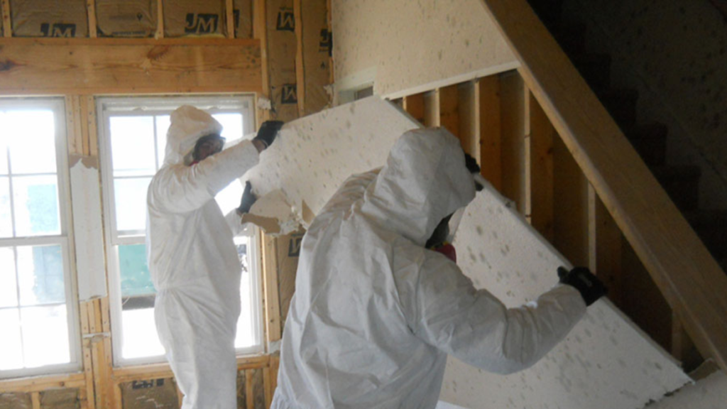 Is Mold Covered By Insurance