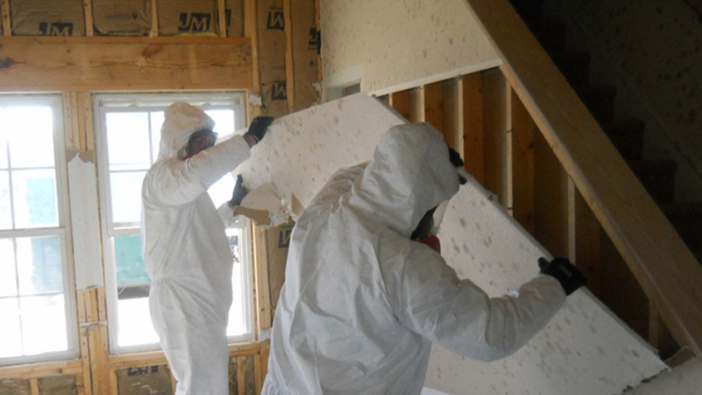 Mold Remediation Company