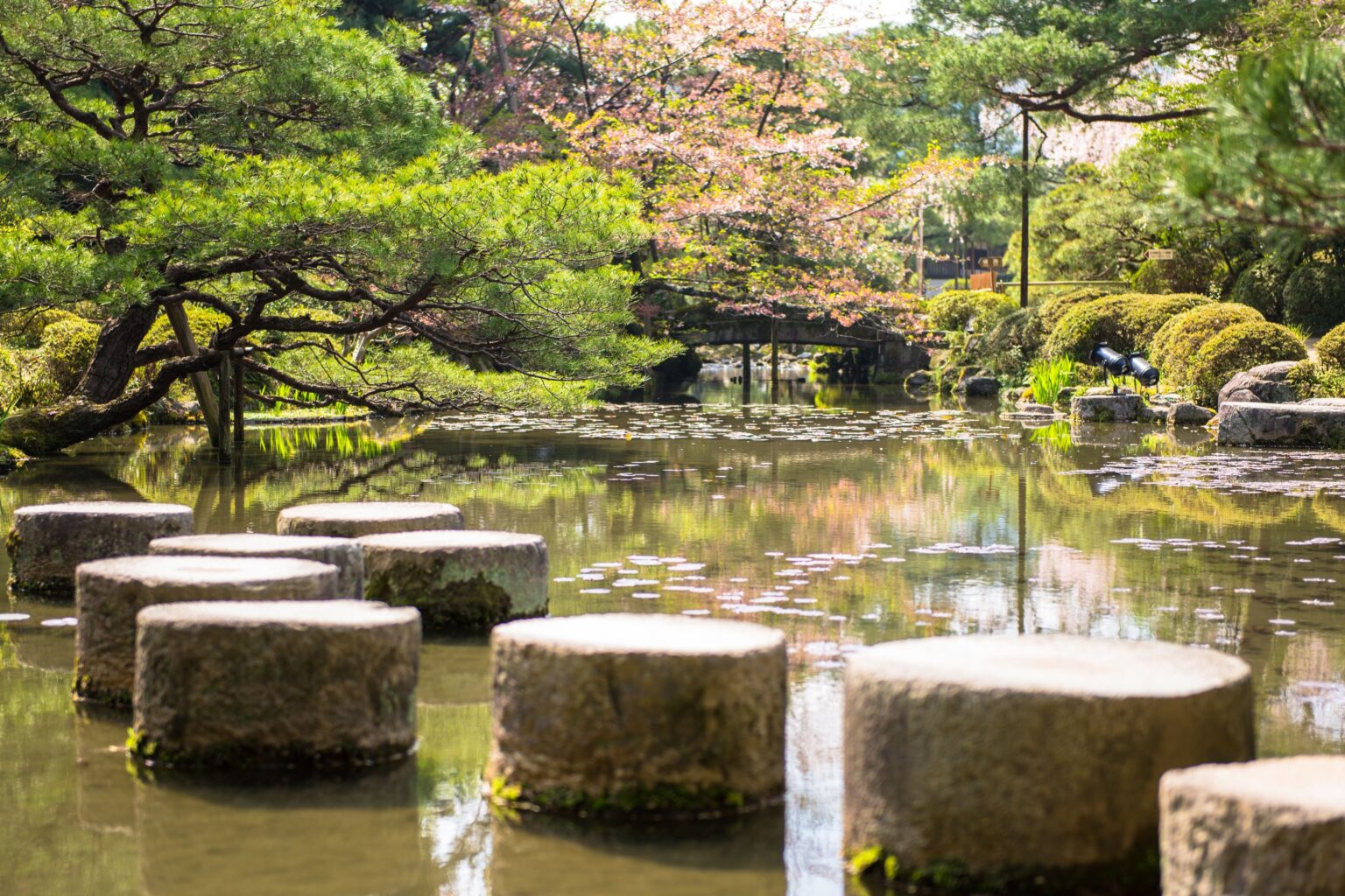 Outdoor Zen Garden The Architects Diary
