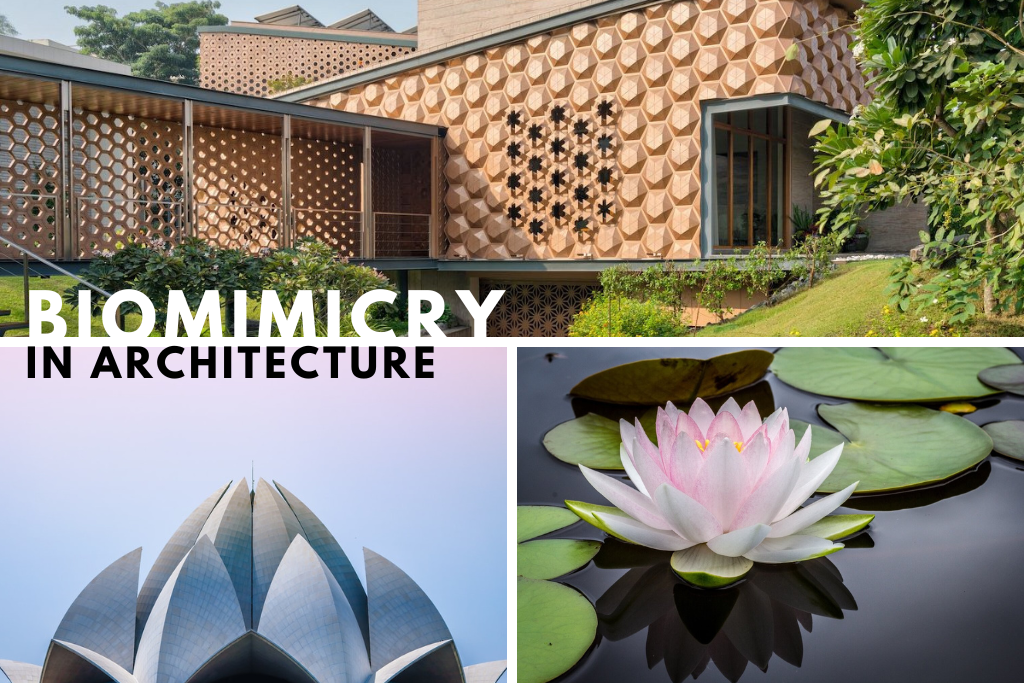 Biomimicry in Architecture - Towards A Sustainable Approach - The ...