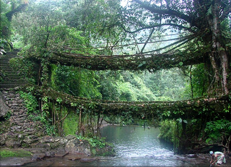 Hanging Bridges in India