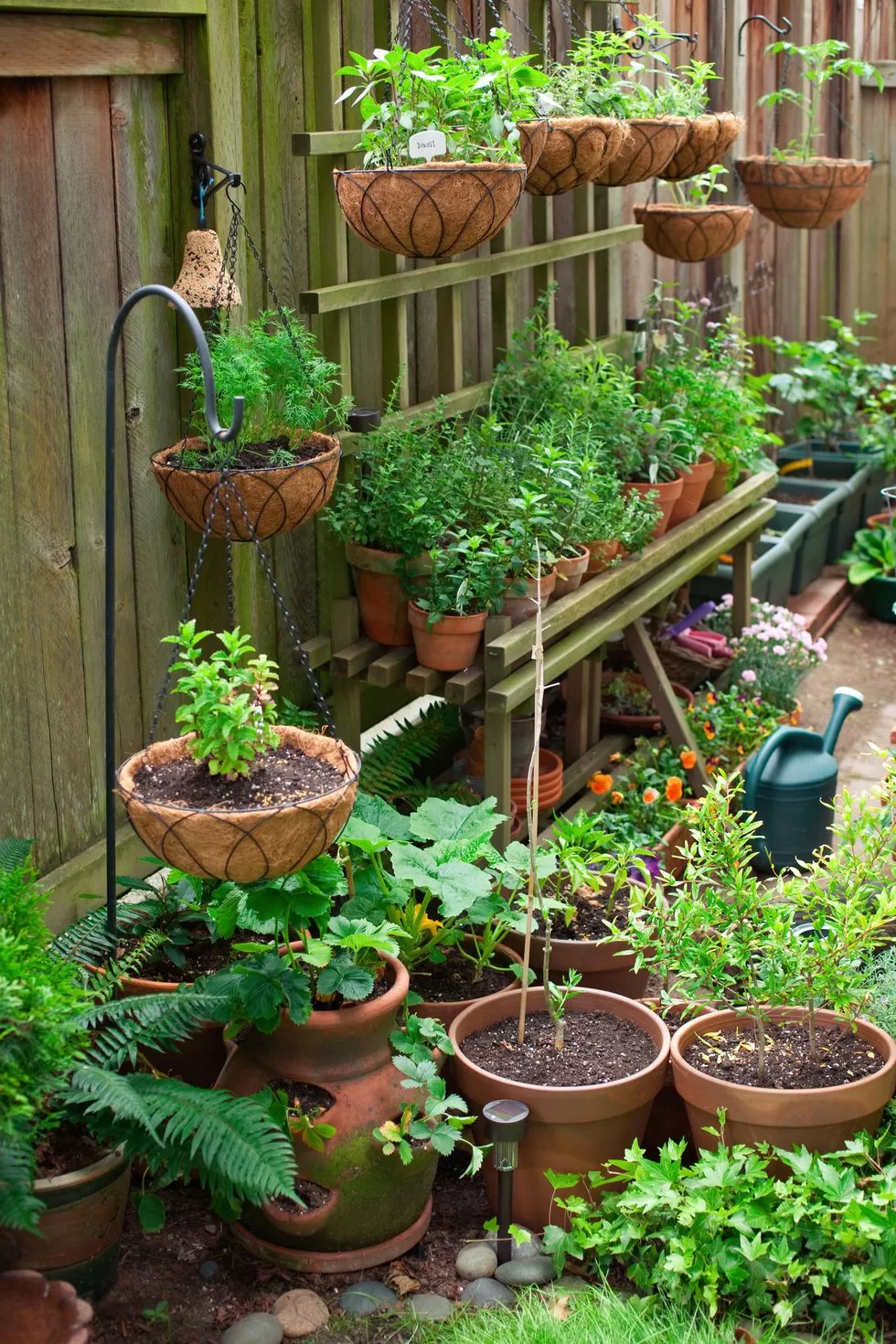 20 Home Garden Ideas That Nurtures Nature
