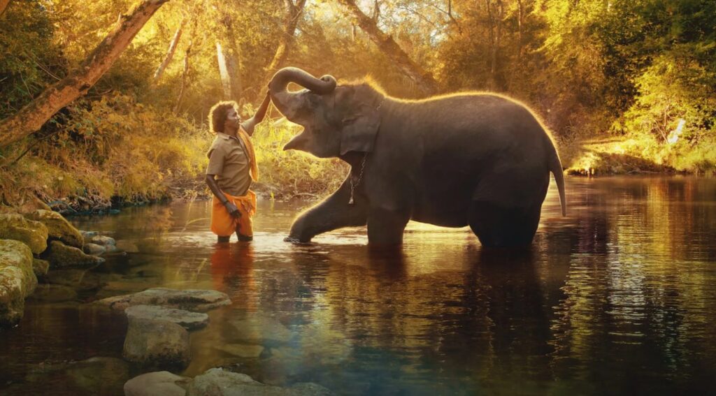 Theppakadu Elephant Camp, Tamil Nadu. 