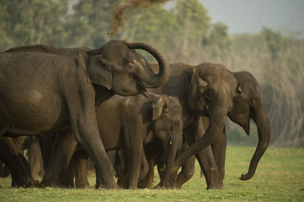 Animal Sanctuaries in India