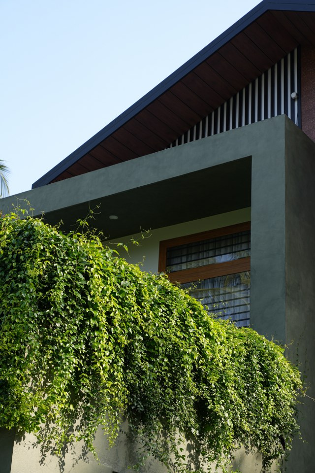 Modern House Elevation