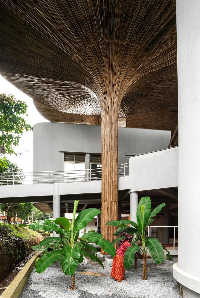 Bamboo In Design