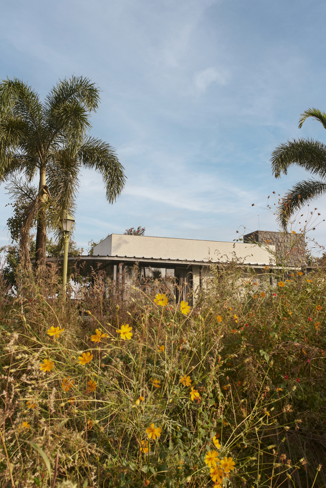 prairie style homes