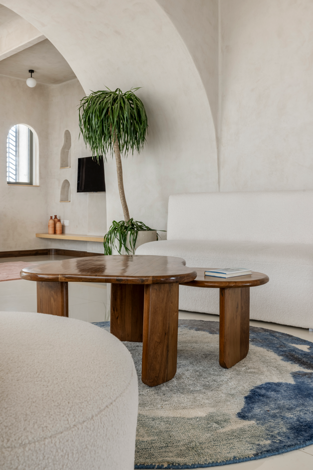 organic modern interior