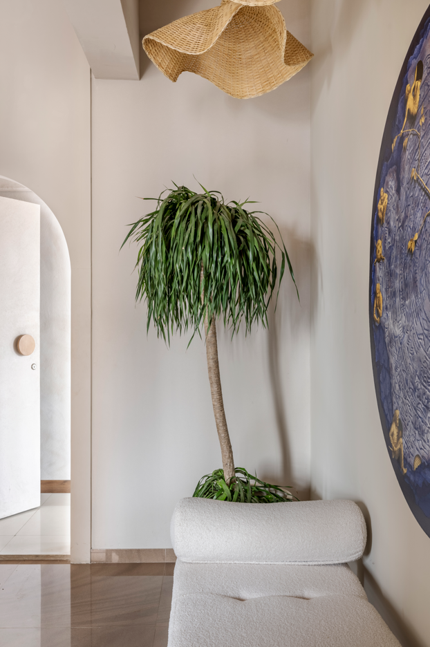organic modern interior