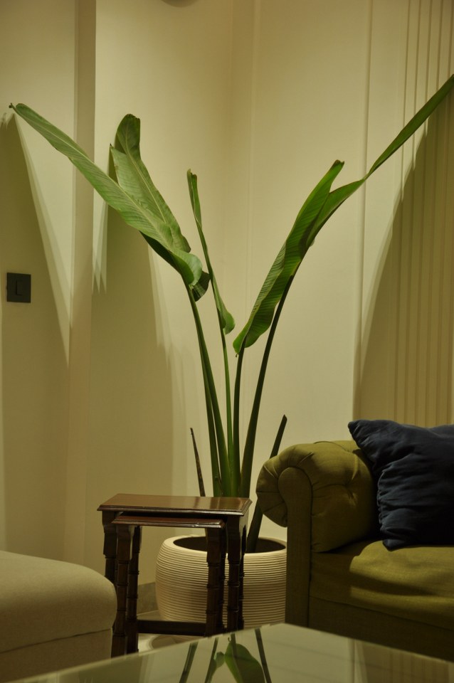 gurgaon apartment
