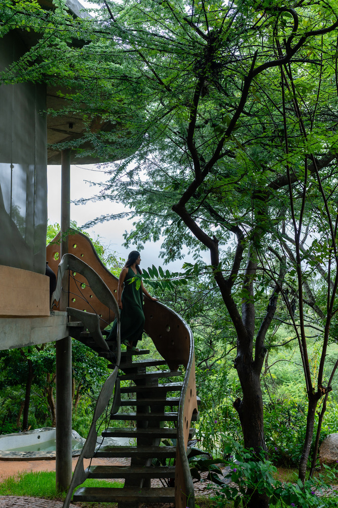 organic house