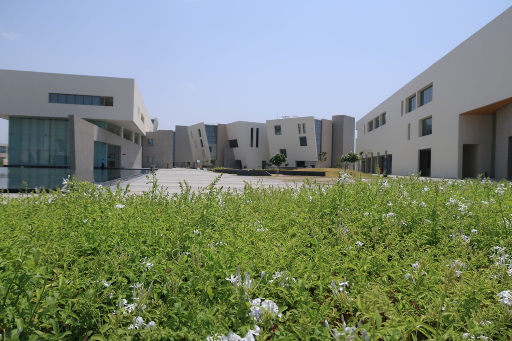tcs indore