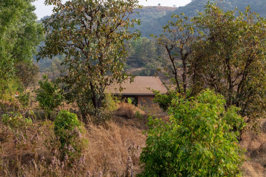 organic homes