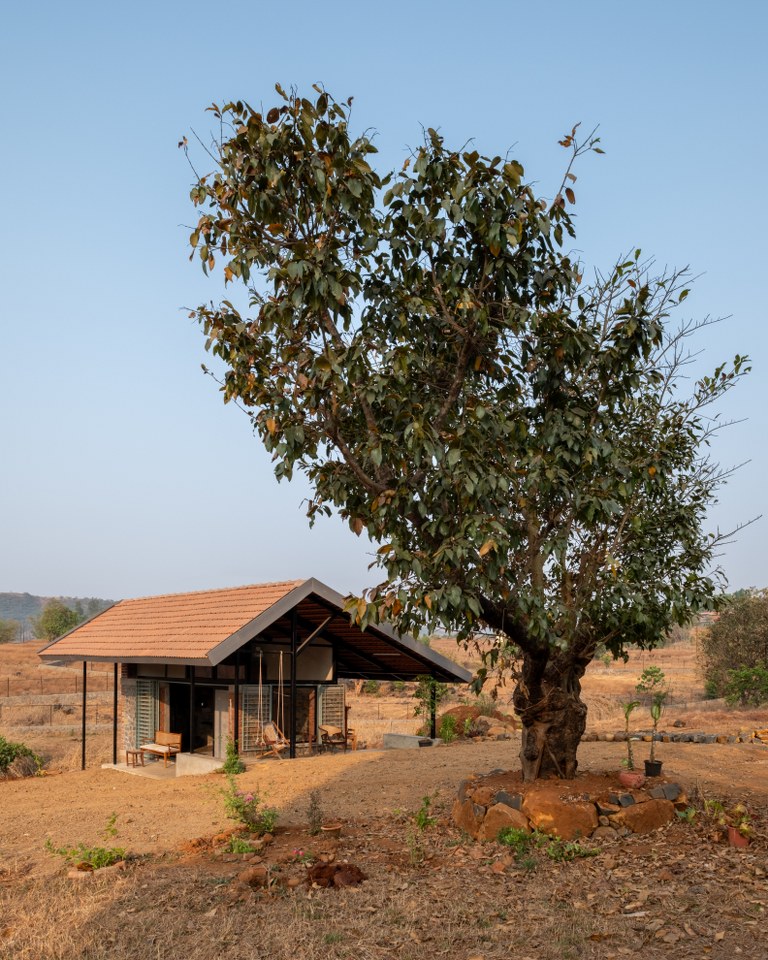 organic homes