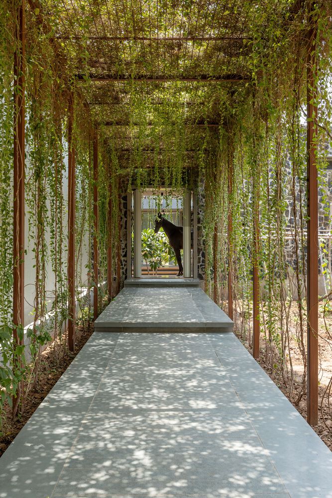 Vault House