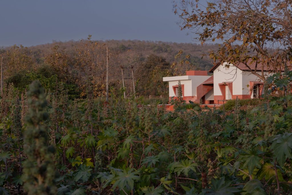 vernacular houses