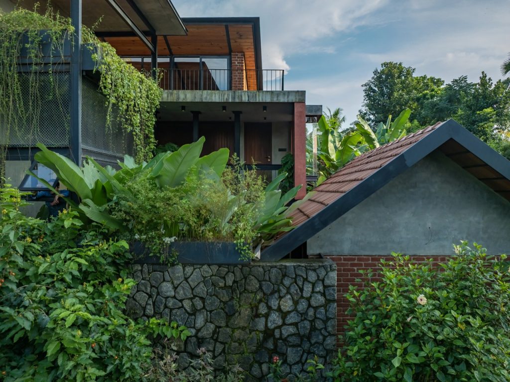 organic architecture