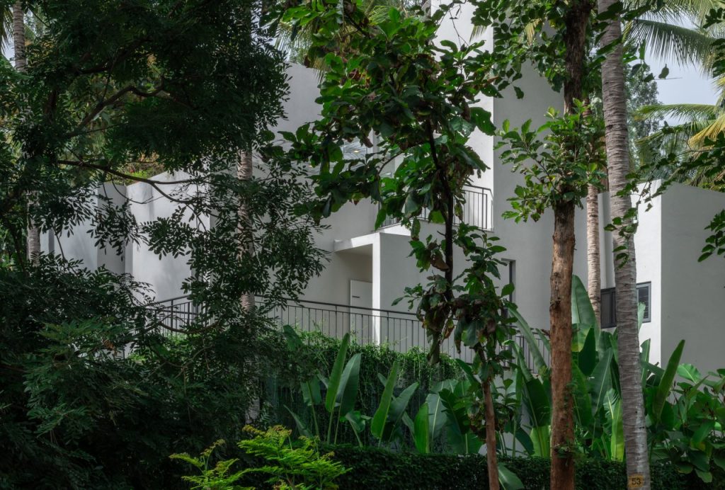 sanctum