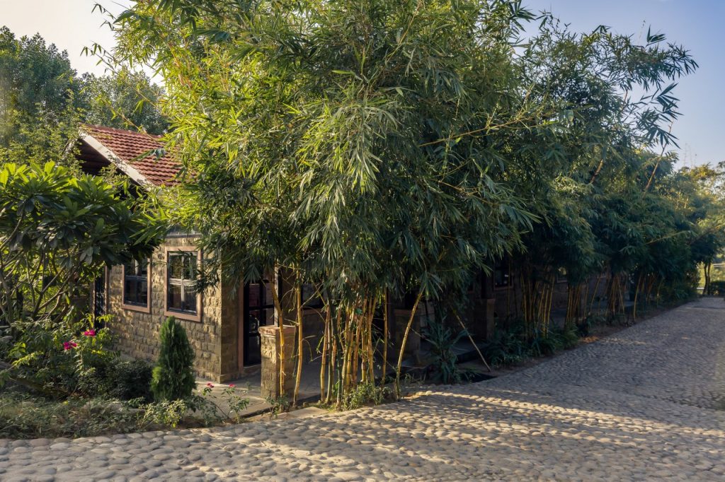 vernacular design