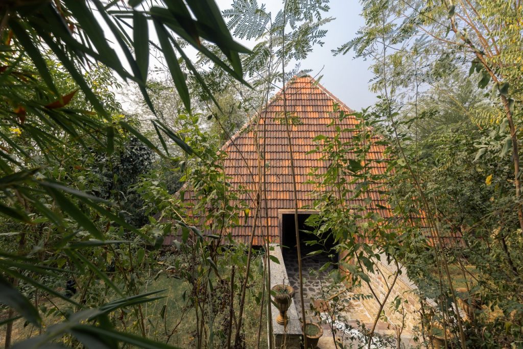 vernacular design