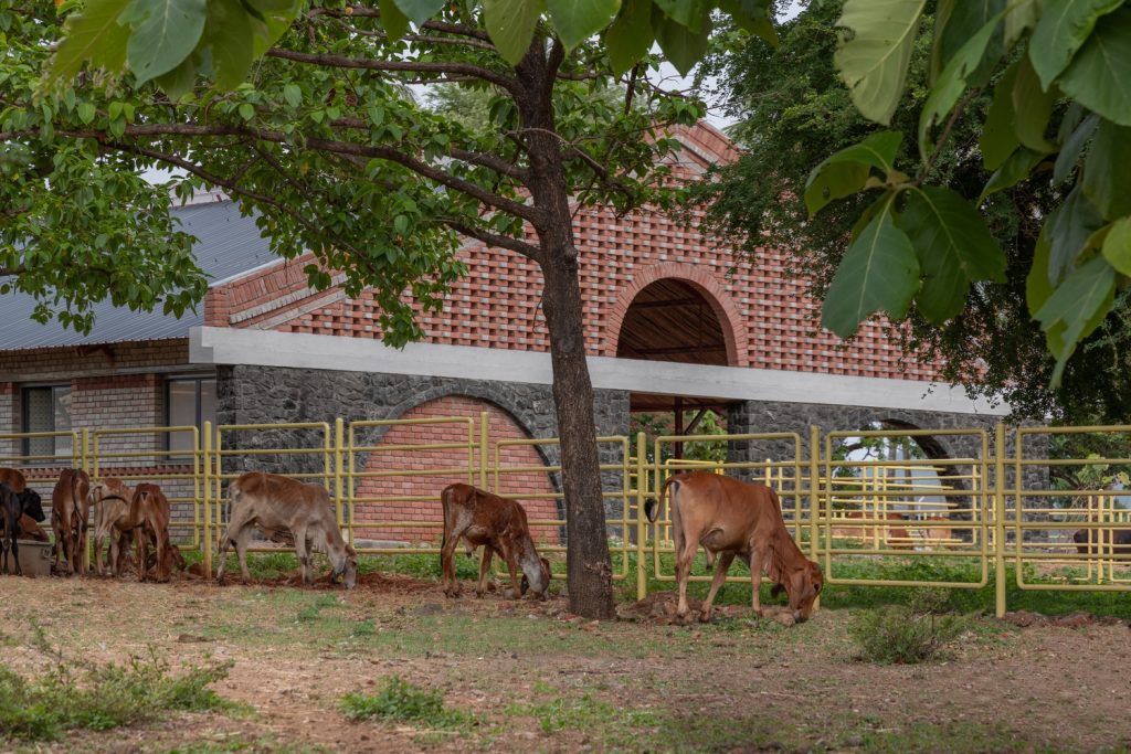 Fruit Orchard