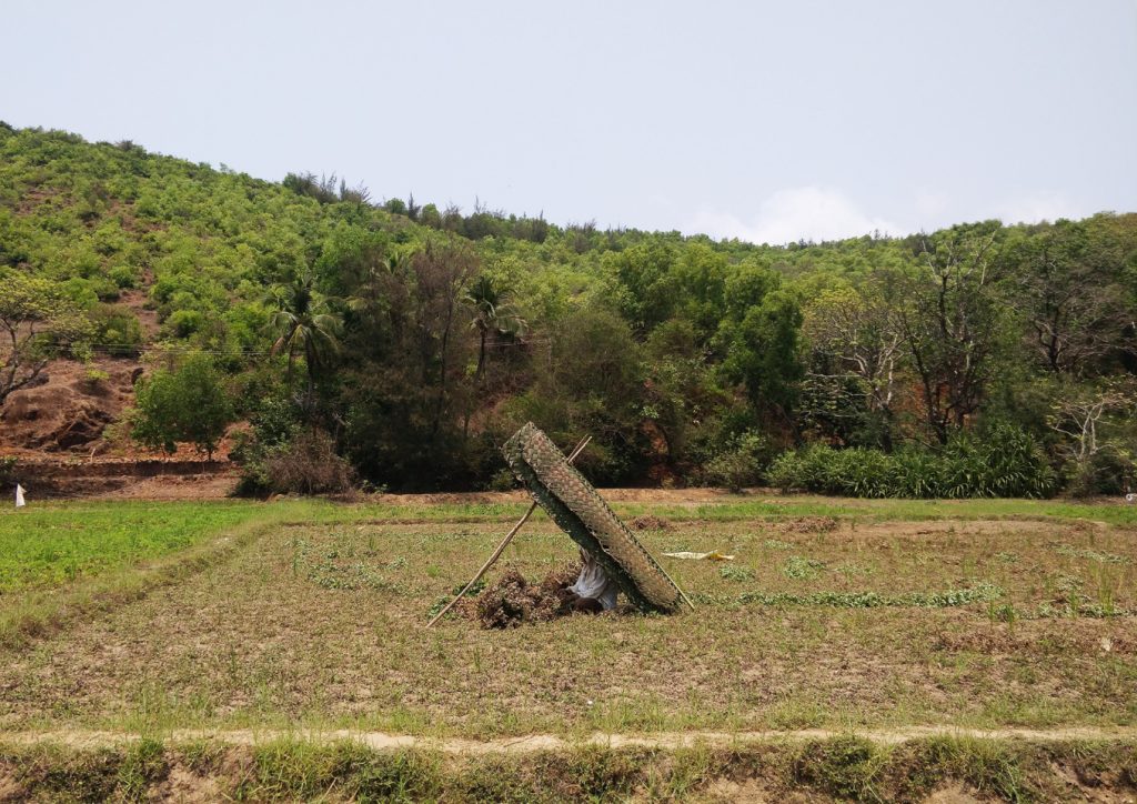 western ghats