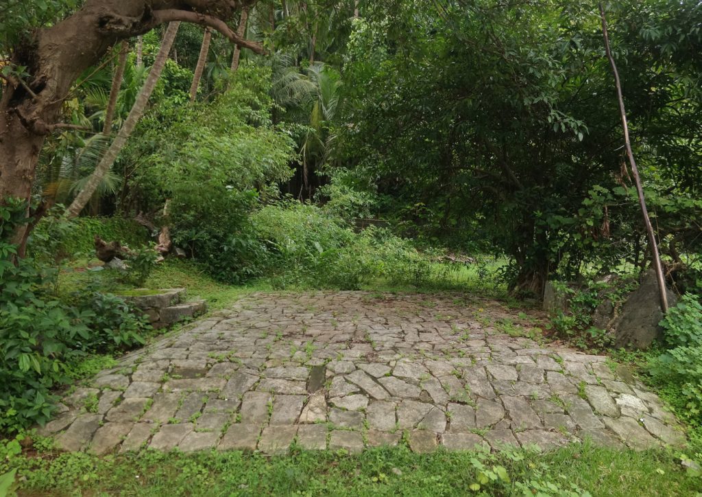 western ghats