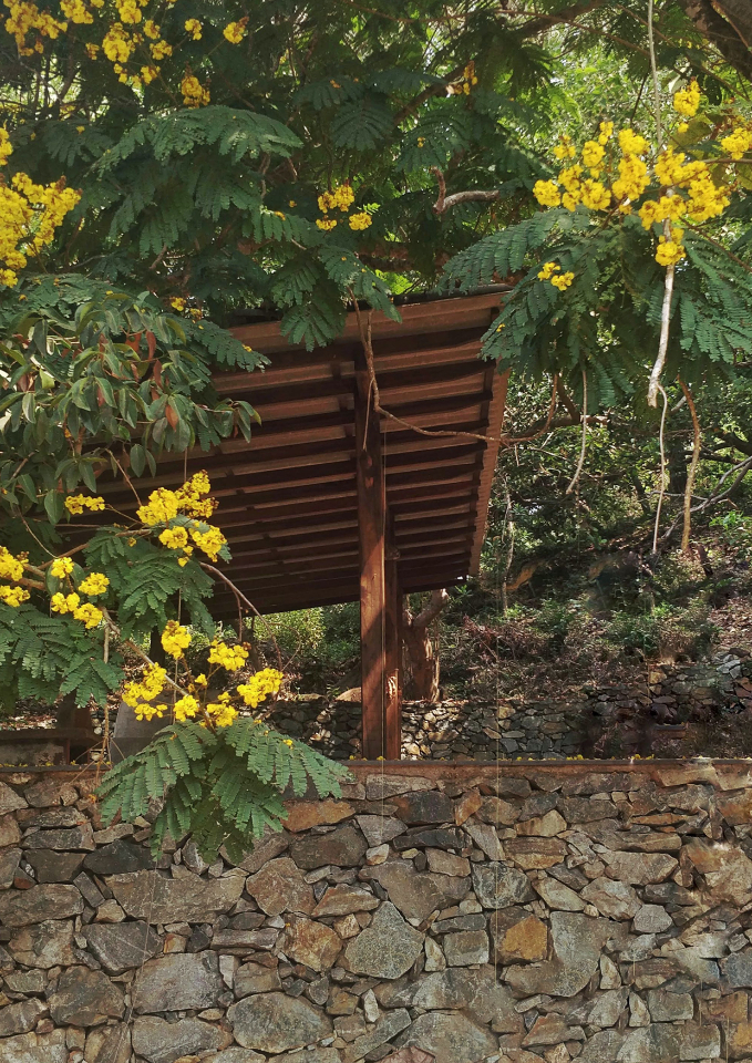 western ghats