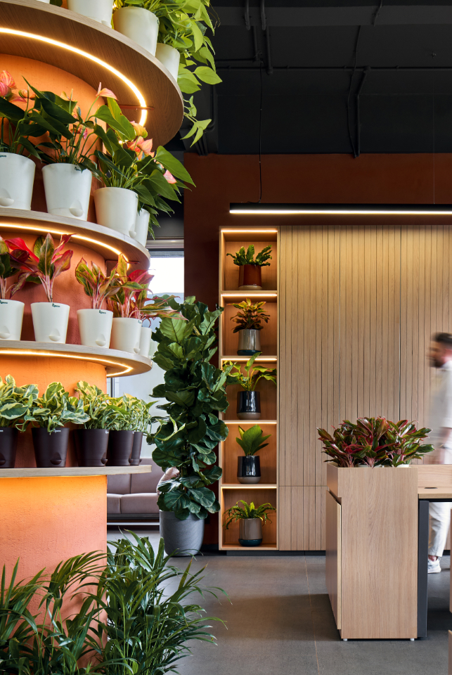 sustainable office