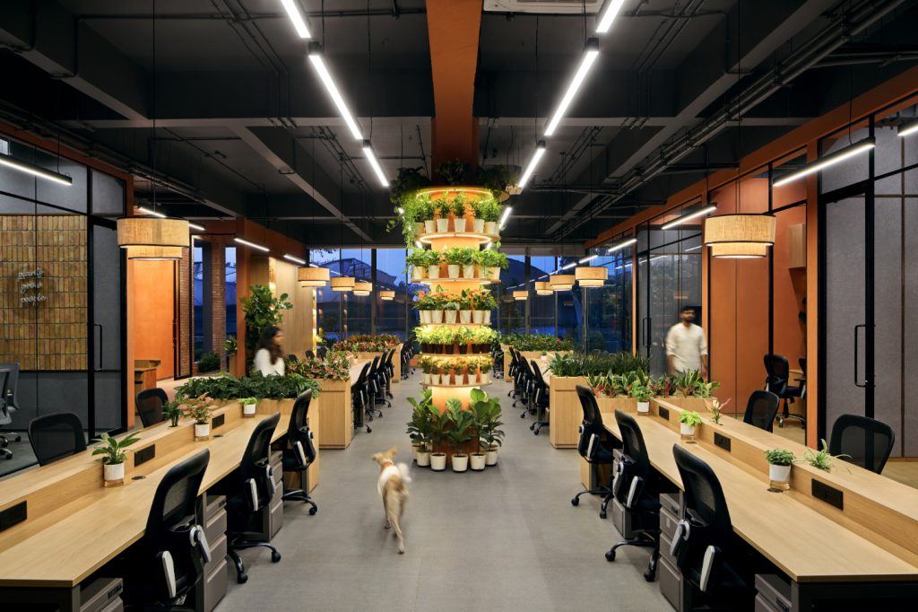sustainable office