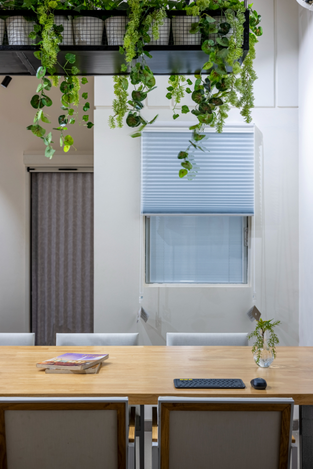 showroom design