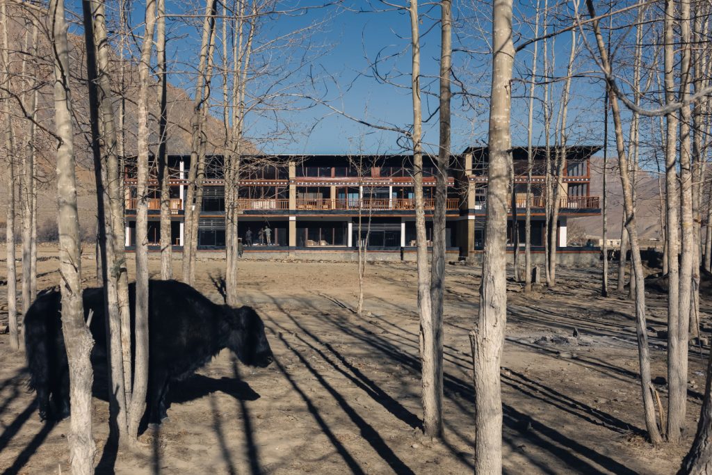 vernacular construction