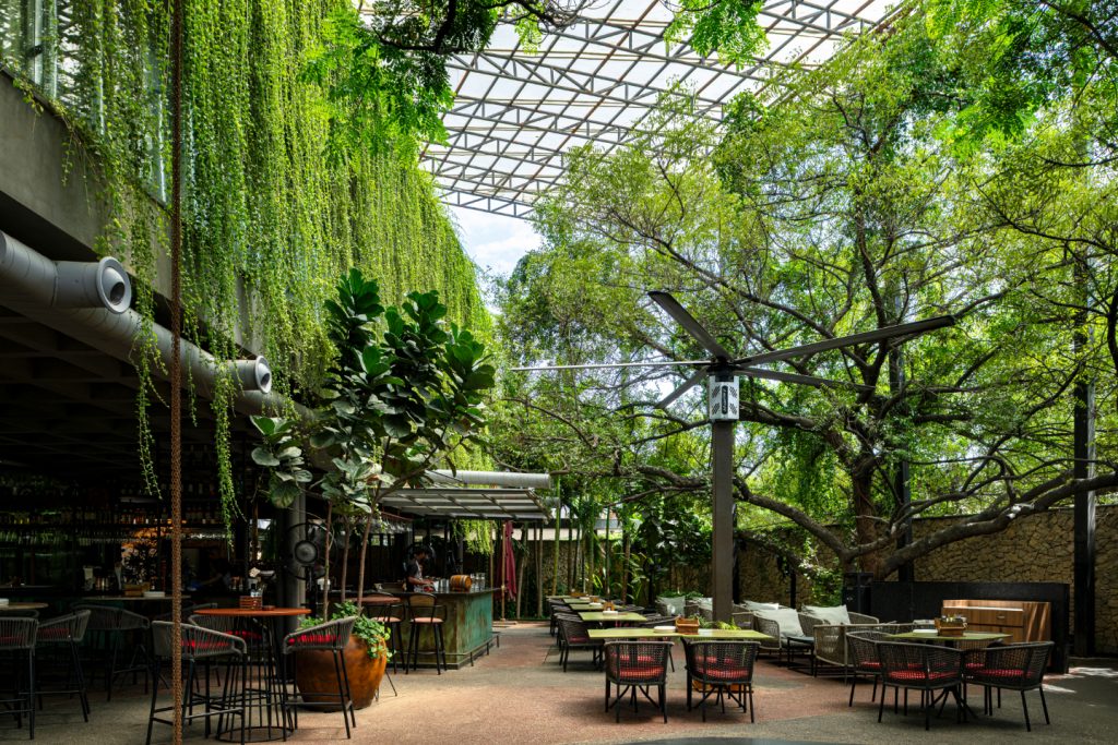 jubilee hills