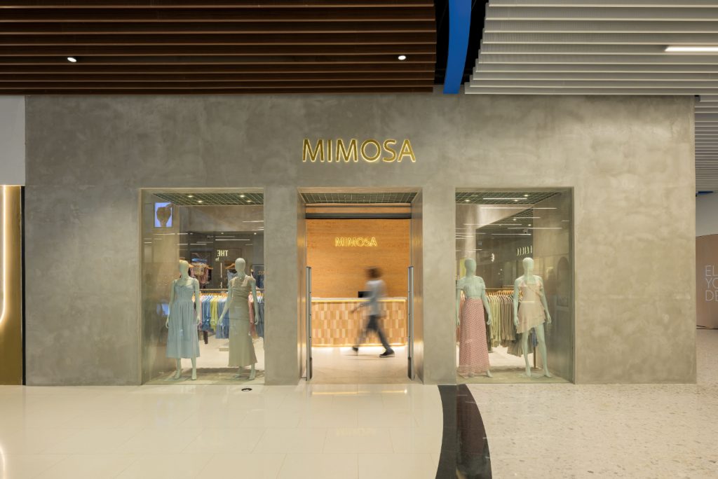 mimosa
